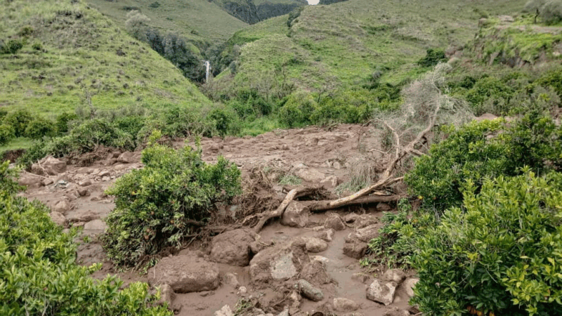 https://wbhm.org/wp-content/uploads/2025/09/2025-09-02t090657z-1990498834-rc2kjgax0g1b-rtrmadp-3-sudan-floods-800x450.png