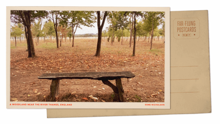 FarFlungPostcard_EN.jpg