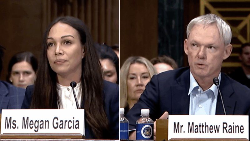 https://wbhm.org/wp-content/uploads/2025/09/garcia-raine-16x9-1-800x450.png