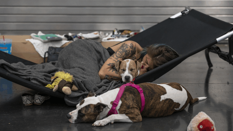 https://wbhm.org/wp-content/uploads/2025/09/gettyimages-1233694292-800x450.png