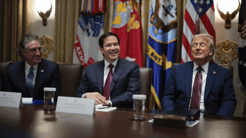 https://wbhm.org/wp-content/uploads/2025/09/gettyimages-2232236926-800x450.png