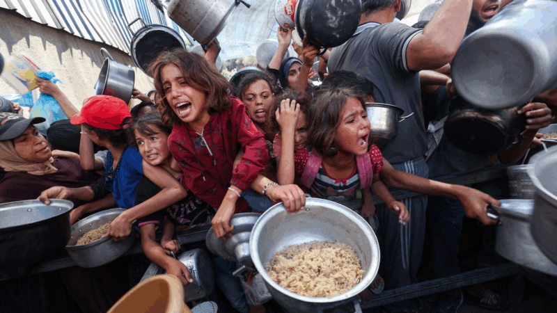 https://wbhm.org/wp-content/uploads/2025/09/gettyimages-2232989457-800x450.png