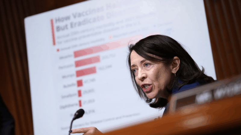 https://wbhm.org/wp-content/uploads/2025/09/gettyimages-2233689976-800x450.png