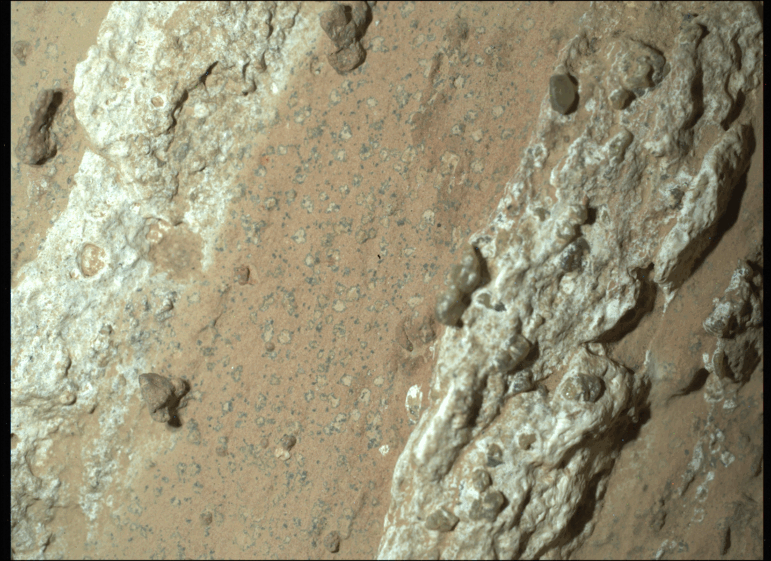 NASA's Perseverance Mars rover captured this image of a rocky area nicknamed "Cheyava Falls" on July 18, 2024, showing black "poppy seed" and larger "leopard spot" features. Researchers say a sample from the site reveals a tantalizing mix of details suggesting the potential presence of life, billions of years ago.