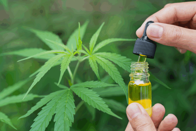 Many people try cannabis for back pain. Now new studies from Europe show it may be an effective option.