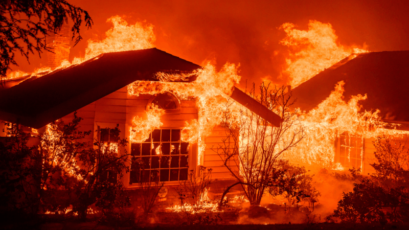 https://wbhm.org/wp-content/uploads/2025/10/gettyimages-2192352455-800x450.png
