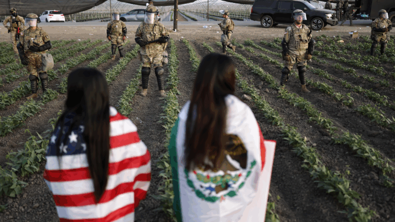 National Guard soldiers block protestors during an ICE immigration raid at a nearby cannabis farm on July 10 near Camarillo, California.