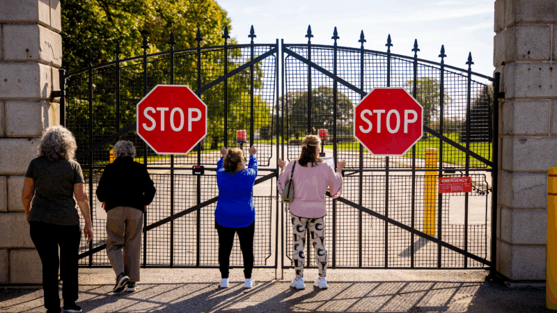 https://wbhm.org/wp-content/uploads/2025/10/gettyimages-2238606951-800x450.png