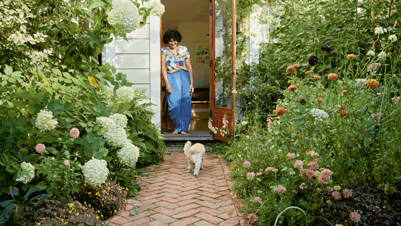 https://wbhm.org/wp-content/uploads/2025/10/lk-samin-nosrat-00987-nosr-9781984857798-all-art-r3-1-800x450.png