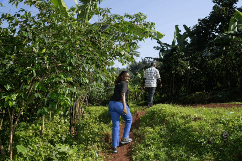 Meridah Nandudu, 35, walks up a dirt pathway that cuts through an area with lush greenery as she goes to meet with some of the farmers she buys coffee from.