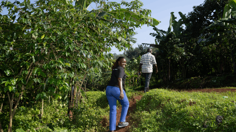 https://wbhm.org/wp-content/uploads/2025/10/uganda-coffee-5-800x450.png