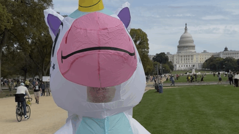 https://wbhm.org/wp-content/uploads/2025/10/unicorn-800x450.png