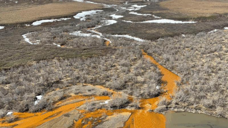 https://wbhm.org/wp-content/uploads/2025/12/an-orange-tributary-of-the-kugororuk-river-photo-by-josh-koch-u-s-geological-survey-800x450.png