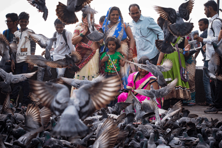 Visitors to Mumbai feed pigeons near the Gate of India.