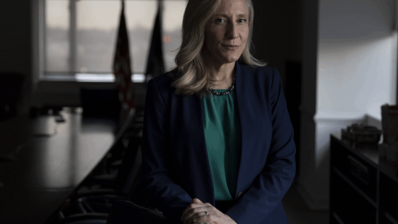 https://wbhm.org/wp-content/uploads/2026/01/260113-gov-elect-abigail-spanberger-06-800x450.png