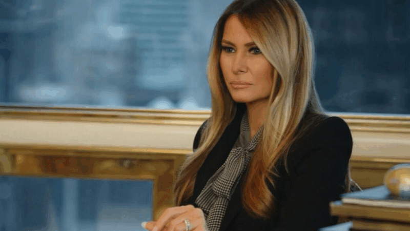 https://wbhm.org/wp-content/uploads/2026/01/melania-2026-003-credit-amazon-mgm-studios-800x450.png