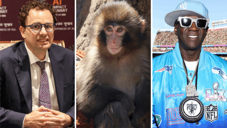 From left: Dario Amodei (Anthropic CEO), Punch (lonely monkey) and Flavor Flav (icon).