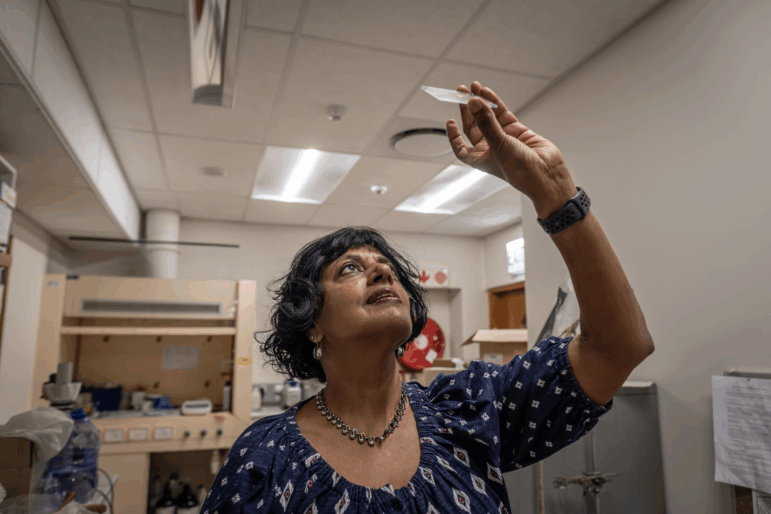 By looking at thin slices of crocodile bones, University of Cape Town paleobiologist Anusuya Chinsamy-Turan has concluded that researchers may have been overestimating some dinosaur ages. “It changes how we think about dinosaur growth,” she says.