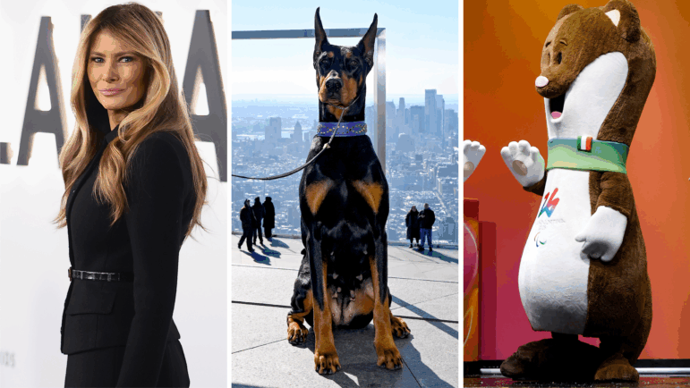 From left: first lady, best in show, Tina — or is that Milo?