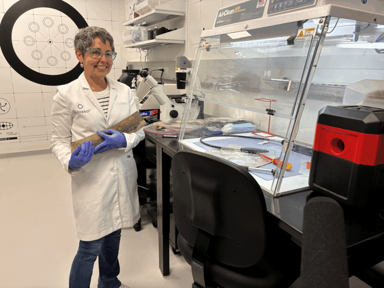 Colossal Biosciences scientist Beth Shapiro holds a portion of a woolly mammoth tusk recovered from the Arctic.