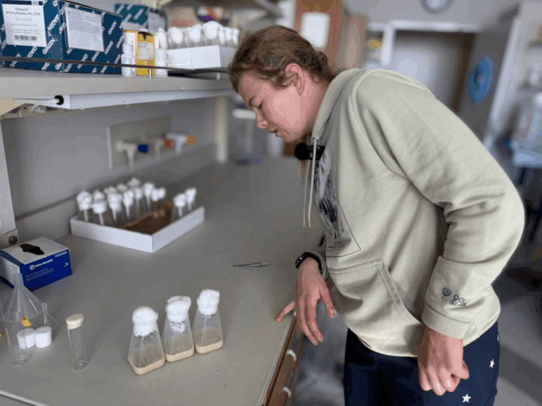 Inside a lab at the University of Utah, Sydney Peterson inspects containers of fruit flies. As part of her doctoral research, the Paralympian is using fruit flies to test the effectiveness of different drugs on certain genetic movement disorders.